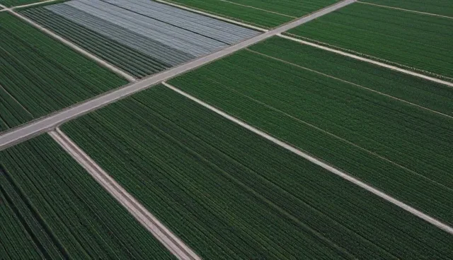 如何通过技术应用优化品种选择的性能表现
